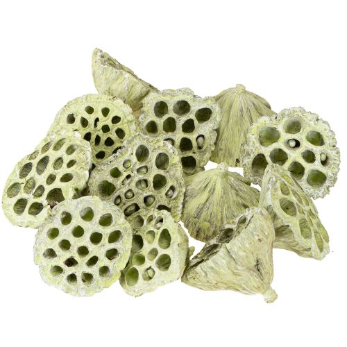 Prodotto Fiaschetta Lotus mix verde lavato Ø6cm - 10cm 50 pz