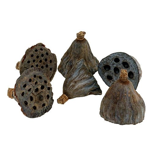Prodotto Fiaschetta piccola Lotus 100 pezzi naturale