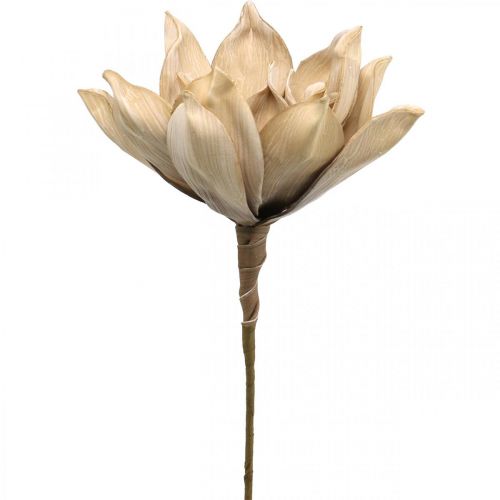 Fiore di loto, decorazione fiore di loto, pianta artificiale beige L66cm