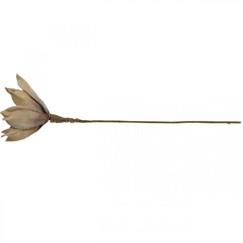 Floristik24 Fiore di loto, decorazione fiore di loto, pianta artificiale beige L66cm