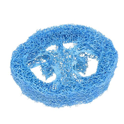 Fette di Luffa celeste 25 pezzi