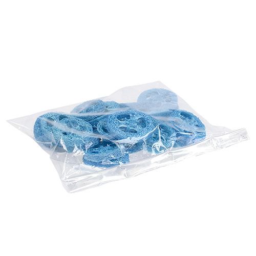 Floristik24 Dischi di luffa azzurro cielo 25 pz