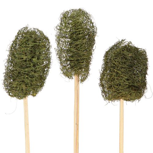 Prodotto Decorazione di cetriolo in spugna di luffa su bastoncino verde scuro 5-7 cm 25 pezzi