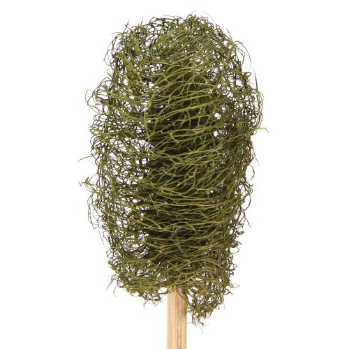 Prodotto Decorazione di cetriolo in spugna di luffa su bastoncino verde scuro 5-7 cm 25 pezzi