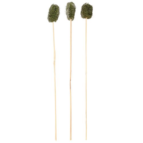 Prodotto Decorazione di cetriolo in spugna di luffa su bastoncino verde scuro 5-7 cm 25 pezzi