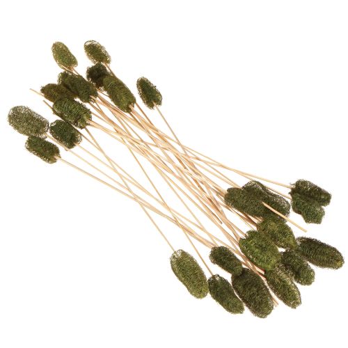 Prodotto Decorazione di cetriolo in spugna di luffa su bastoncino verde scuro 5-7 cm 25 pezzi