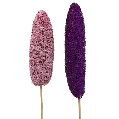 Luffa su bastoncino grande rosa, erica 8cm - 30cm 25p