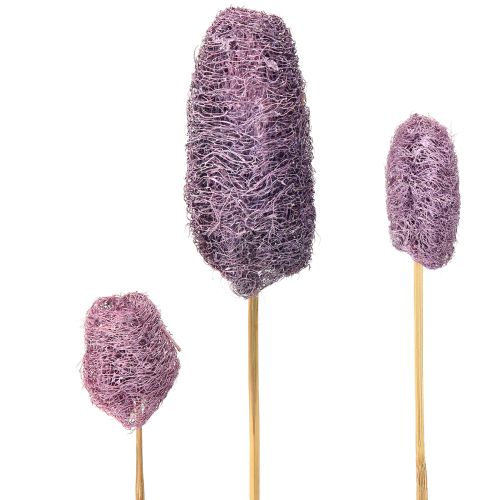 Luffa su uno stelo piccola bacca decorativa essiccata 5-12 cm 25 pezzi