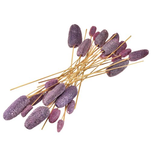 Prodotto Luffa su uno stelo piccola bacca decorativa essiccata 5-12 cm 25 pezzi