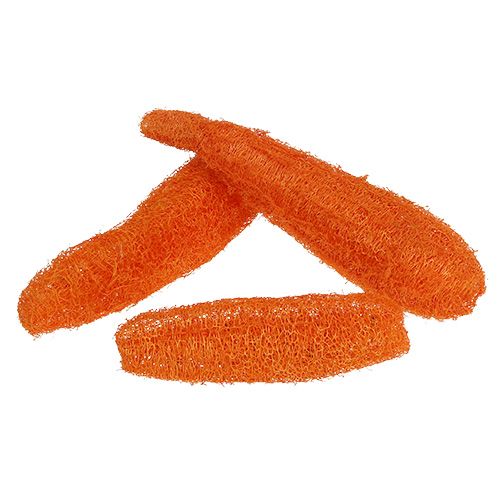 Floristik24 Luffa grande arancione 20 pz