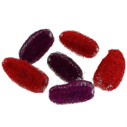 Floristik24 Luffa assortiti viola, vino rosso 9 cm - 12 cm 50 pezzi