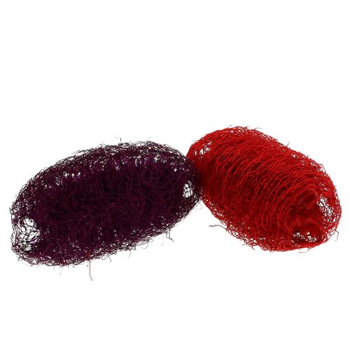 Floristik24 Luffa assortita viola, rosso vino 9 cm – 12 cm 50 pz