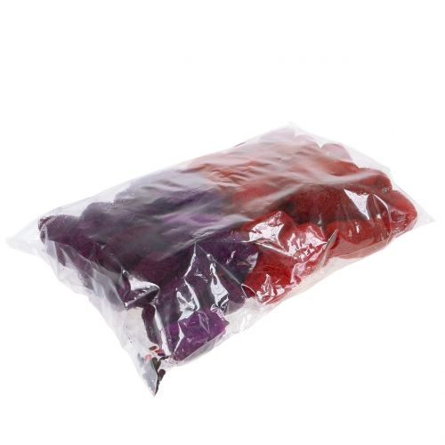 Floristik24 Luffa assortita viola, rosso vino 9 cm – 12 cm 50 pz