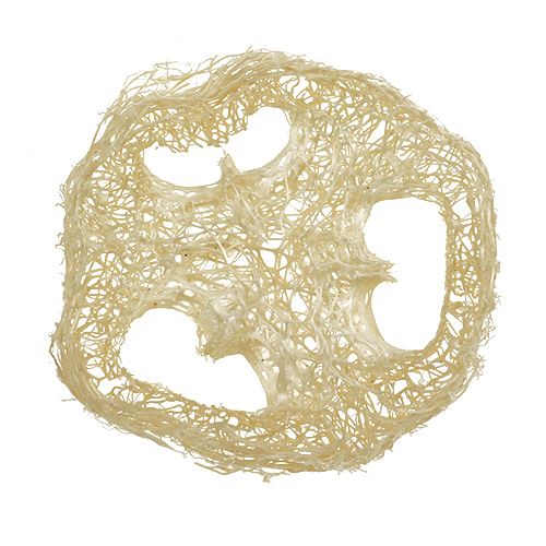 Floristik24 Dischi Luffa sbiancati Ø5cm 48 pz