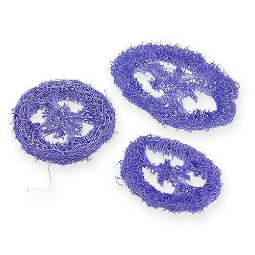Floristik24 Dischi Luffa viola chiaro 25 pz
