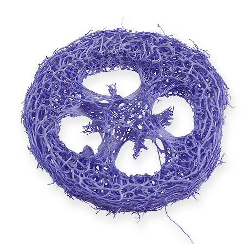 Floristik24 Dischi Luffa viola chiaro 25 pz