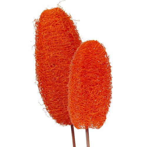 Luffa grande su stecco Arancio 25pz