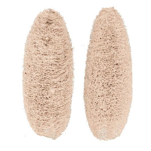 Prodotto Luffa grande sbiancata 20 pz