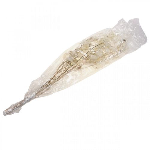 Prodotto Lunaria fiori secchi luna viola foglia argento essiccata 60-80 cm 30g