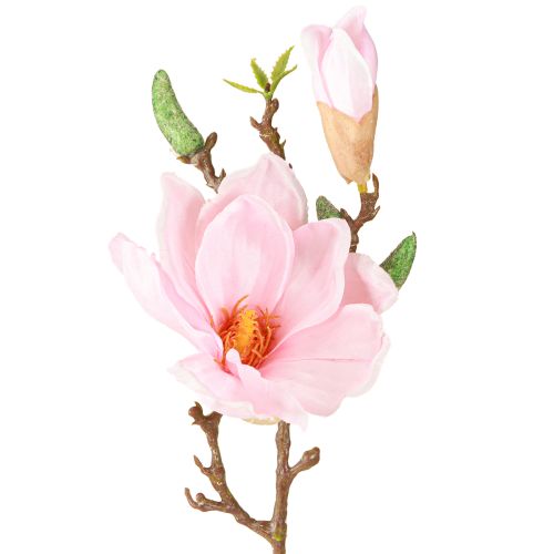 Floristik24 Magnolia rosa fiore artificiale ramo di fiori artificiali H40cm 2 pezzi