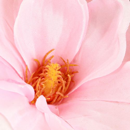 Prodotto Magnolia rosa fiore artificiale ramo di fiori artificiali H40cm 2 pezzi