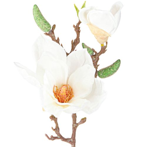 Floristik24 Magnolia bianco artificiale boccioli di fiori decorazione ramo H40cm 2 pezzi
