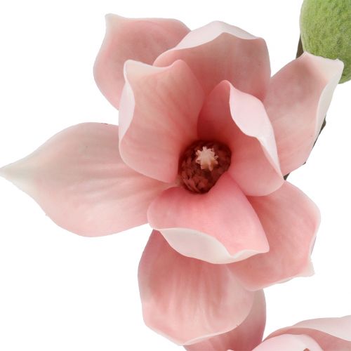 Prodotto Magnolia artificiale rosa chiaro 70cm