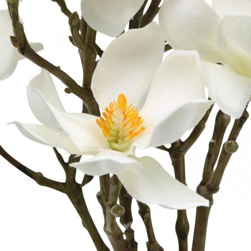 Prodotto Rami di magnolia artificiale ramo decorativo bianco H40cm 4 pezzi in mazzetto