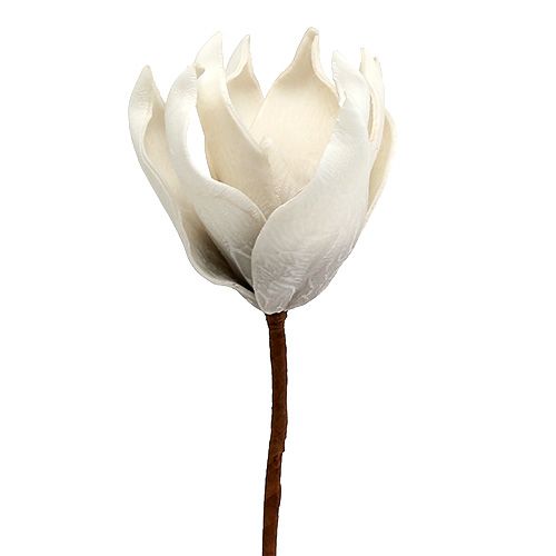 Floristik24 Fiore di magnolia in schiuma grigia, bianco Ø10cm L26cm 4 pezzi