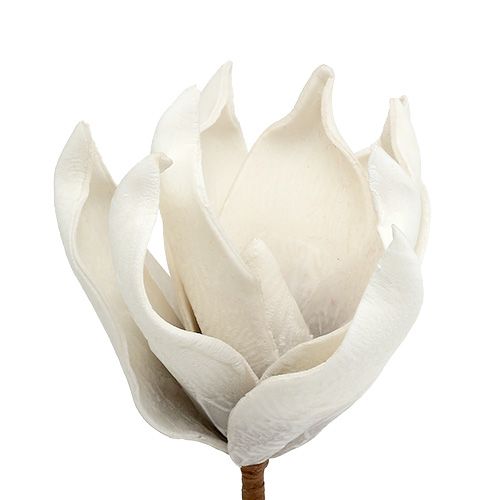 Floristik24 Fiore di magnolia in schiuma grigia, bianco Ø10cm L26cm 4 pezzi