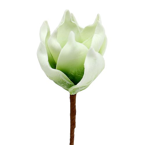 Floristik24 Fiore di magnolia in schiuma bianco-verde Ø10cm L26cm 4 pezzi