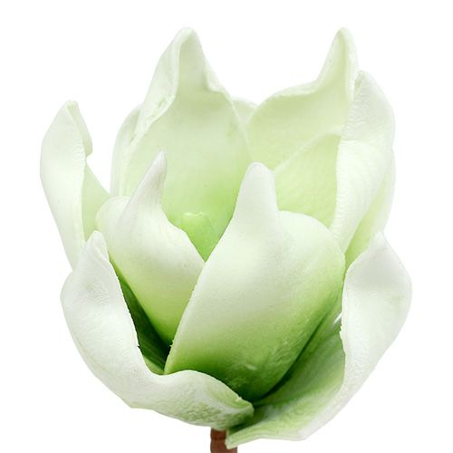 Floristik24 Fiore di magnolia in schiuma bianco-verde Ø10cm L26cm 4 pezzi