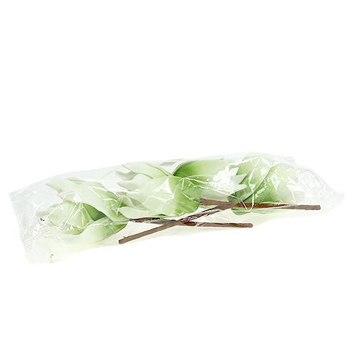 Floristik24 Fiore di magnolia in schiuma bianco-verde Ø10cm L26cm 4 pezzi