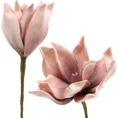 Floristik24 Magnolia artificiale fiore artificiale rosa antico schiuma fiore Ø10cm 6pz