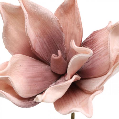 Floristik24 Magnolia artificiale fiore artificiale rosa antico schiuma fiore Ø10cm 6pz