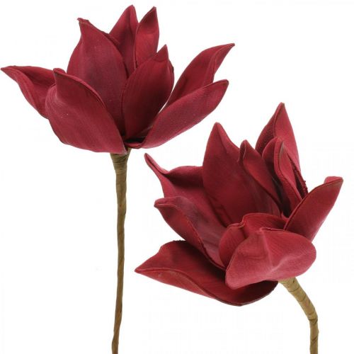 Floristik24 Magnolia artificiale Fiore artificiale rosso Decorazione floreale in schiuma Ø10cm 6pz