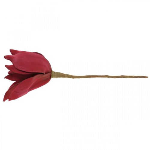 Floristik24 Magnolia artificiale Fiore artificiale rosso Decorazione floreale in schiuma Ø10cm 6pz