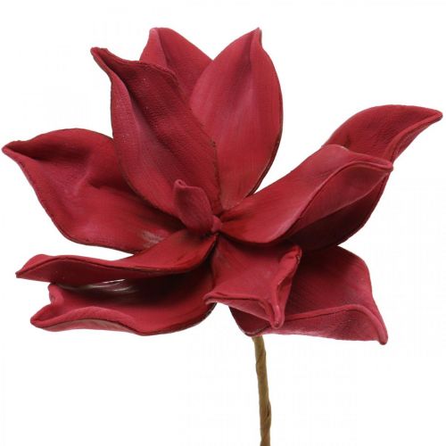 Floristik24 Magnolia artificiale Fiore artificiale rosso Decorazione floreale in schiuma Ø10cm 6pz