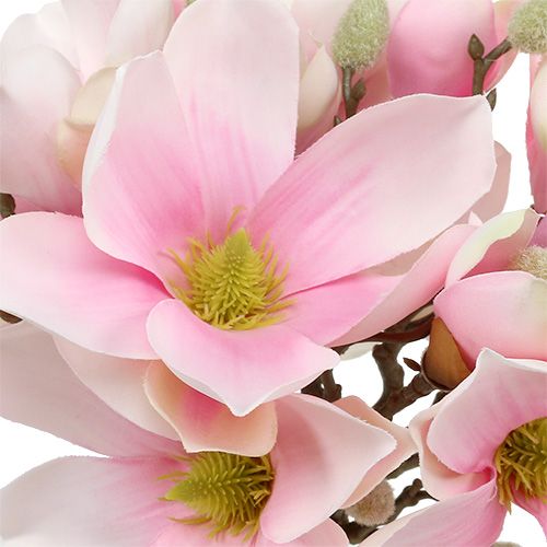 Prodotto Mazzo di magnolia rosa 40 cm 5 pezzi