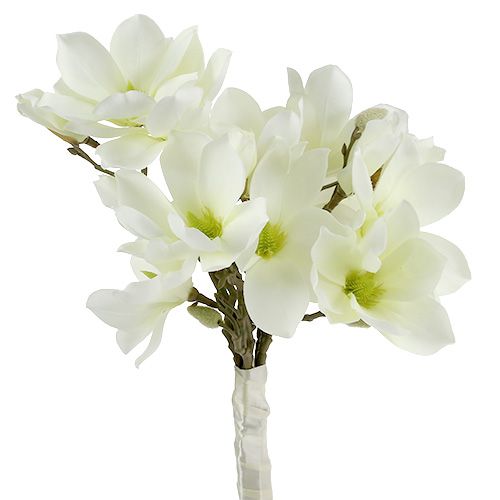 Floristik24 Mazzo di magnolia bianco 40 cm 5 pezzi