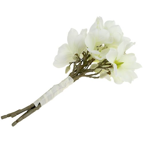 Prodotto Mazzo di magnolia bianco 40 cm 5 pz