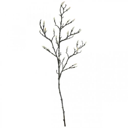 Floristik24 Ramo di magnolia primaverile Bud Ramo artificiale Marrone Bianco L100cm