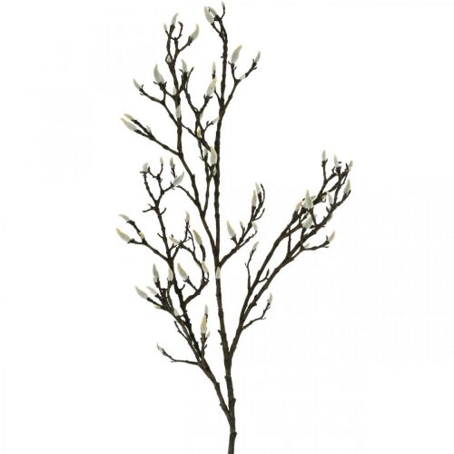 Ramo di magnolia artificiale Ramo decorativo primaverile con boccioli Marrone Bianco L135cm