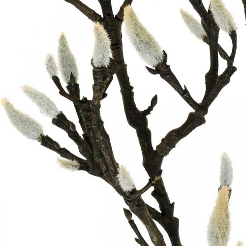 Prodotto Ramo di magnolia artificiale Ramo decorativo primaverile con boccioli Marrone Bianco L135cm
