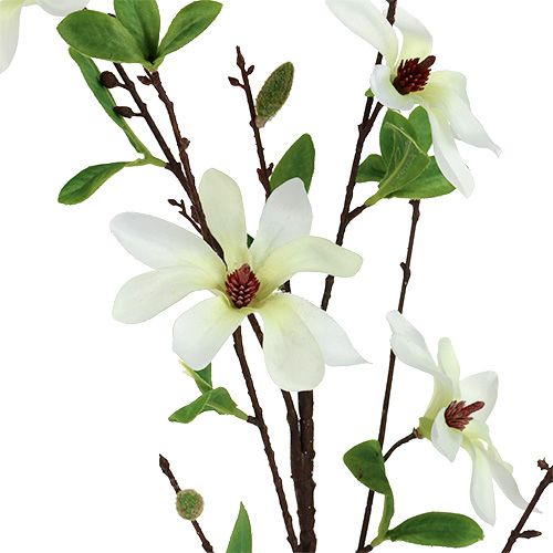 Prodotto Ramo di magnolia bianco-verde 94 cm