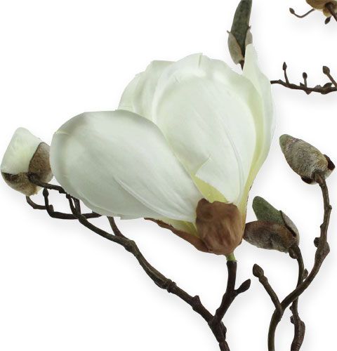 Prodotto Ramo di magnolia bianco 110 cm