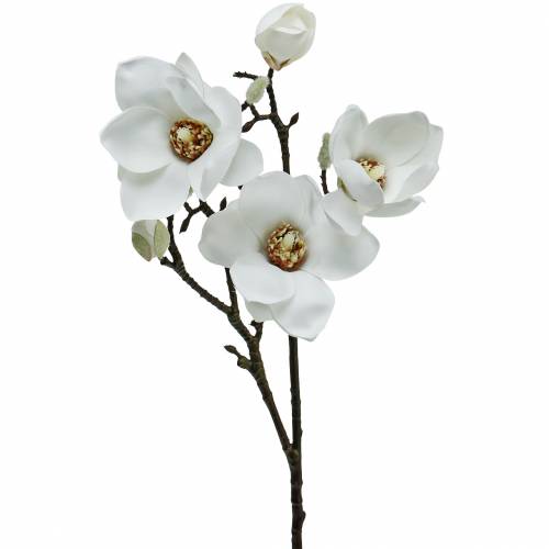 Floristik24 Ramo di magnolia bianco Fiore artificiale di magnolia ramo decorativo