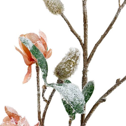Prodotto Ramo di magnolia rosa chiaro L 82 cm