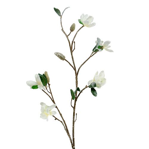 Floristik24 Ramo di magnolia bianco L 82cm con neve