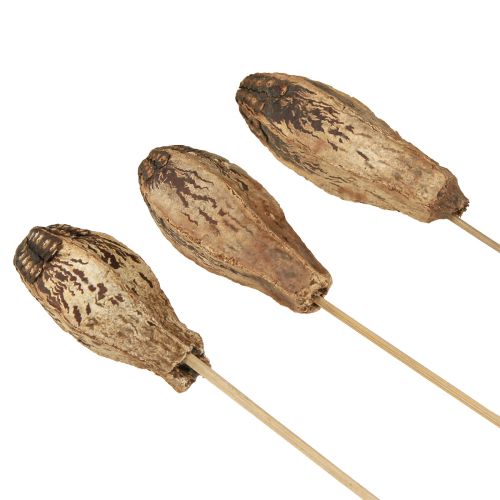 Prodotto Cialde in Mogano Decorazione a Secco Naturale 45cm 50 pz